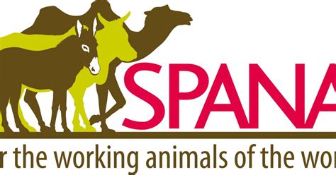 spana charity|society for the protection of animals abroad.